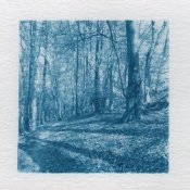 20170528-Cyanotype_2017-05-28_01-1.jpg