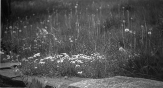 kodak1a4.jpg