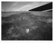 125mm.jpg
