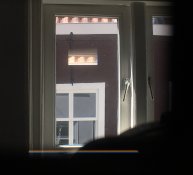 IMG_2906.jpg