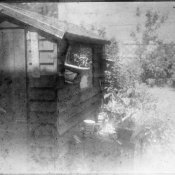 SHED.jpg