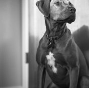 img957-Edit (1).jpg img957-Edit (1).jpg