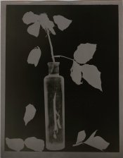 15 06 17 kentamere katona 8x10 342 compressed.jpg