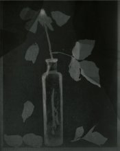 18 06 17 negative of positive on old kodak paper375 2 compressed.jpg 18 06 17 negative of positive on old kodak paper375 2 compressed.jpg