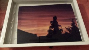 20170620_203200.jpg
