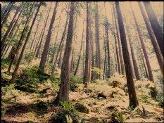 48a-2017-06-06.jpg 48a-2017-06-06.jpg