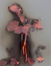 24.06.17 fixing scan compressed.jpg