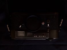 IMG_0338.jpg