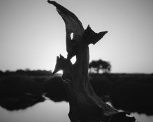 07 06 17 276 (3).jpg 07 06 17 276 (3).jpg