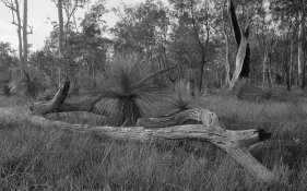 06 06 17 fp4 125 ilfosal 228 compresed.jpg 06 06 17 fp4 125 ilfosal 228 compresed.jpg