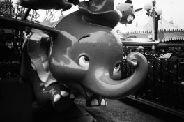 Roll 33 - Frame 6.jpg