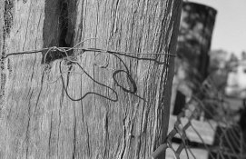 22 07 17553 compressed.jpg 22 07 17553 compressed.jpg