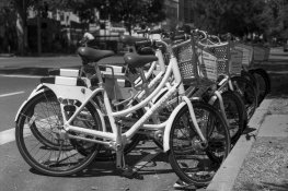 bikes.jpg