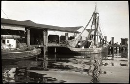 imgd158-2-sm.jpg