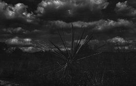 p30redfilter.jpg