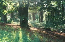 125s8f200iso(2)-min.jpg