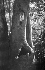 10 08 17 4th584 compressed.jpg