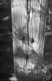 10 08 17 4th603 compressed.jpg