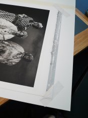 Penn,Pt print, Aluminium.jpg