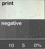carbon-spots.jpg