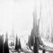 caddo_02.jpg