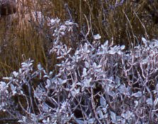 Provia100F-Arista-Ep3200002-2.jpg Provia100F-Arista-Ep3200002-2.jpg