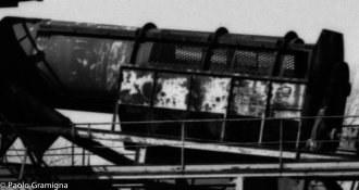 Wet Mount Crop.jpg