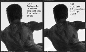 343 vs P20+.jpg