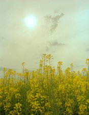Scan-20110514-0078.jpg