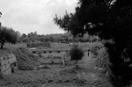 scan0005.jpg