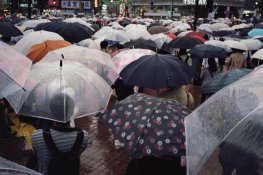 umbrellas.jpg