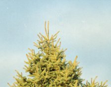 Screen Shot 2014-12-06 at 10.44.45 PM.jpg