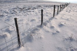 Outdoors 28mm.jpg
