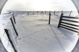 Outdoors 15mm.jpg
