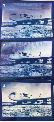 cyanotype.jpg
