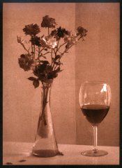 BobKiss4 Wine and Roses uranotype.jpg