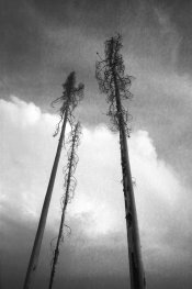 Untitled-1.jpg