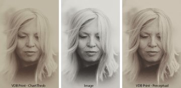 LuizaCompared.jpg LuizaCompared.jpg