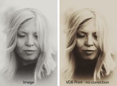 VDB print-NoCorrection.jpg VDB print-NoCorrection.jpg