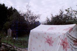 20170923171535_08.jpg