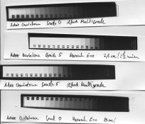 Test Wedge Adox Variotone - 1.jpg