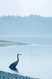 21665351773_6c3b382fc7_o.jpg 21665351773_6c3b382fc7_o.jpg