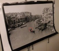whole picture.jpg