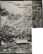 rev006.jpg