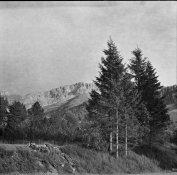 film-120mm-2017-08-2-010.jpg