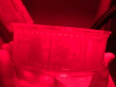 IMG_4684.jpg