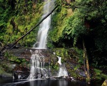 Lyn of Erskine Falls_GONP_67RVP50.jpg