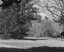 90mm + 2x.jpg