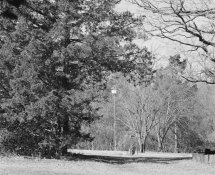 250mm.jpg