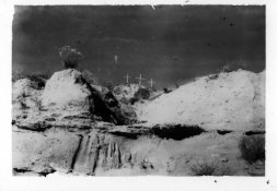 Scan-110202-0002-b.jpg